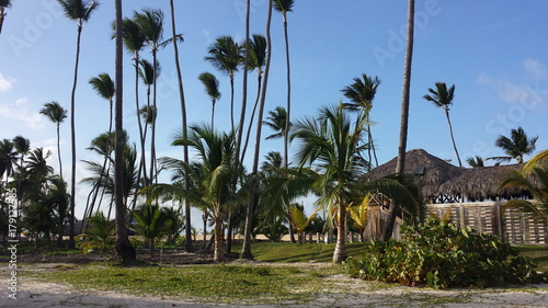 Beautiful and unique landscape of Dominican Republic