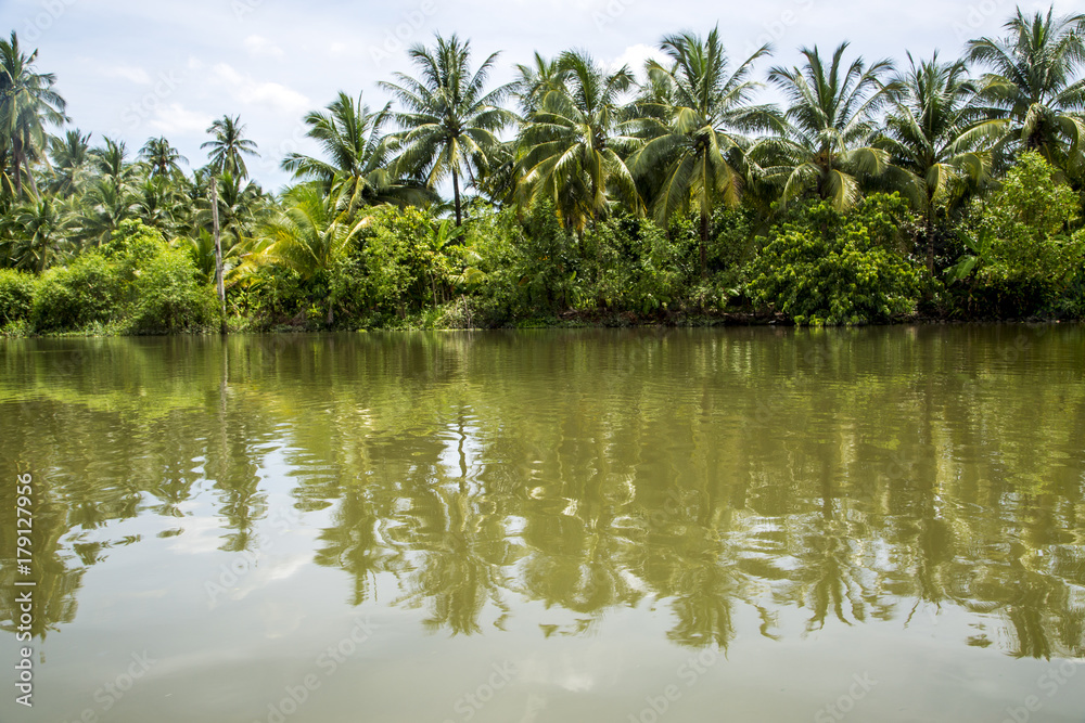 Fototapeta premium Asia, Thailand, Bangkok, river landscape. River, trees, palms, jungle. Thailand, Bangkok. 