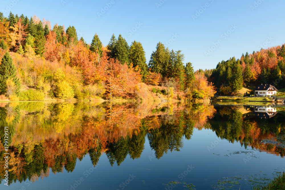 autumn leaves reflecting in the water