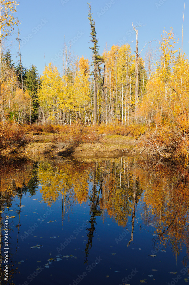 Fall colors around Moose Lake in Northern Idaho