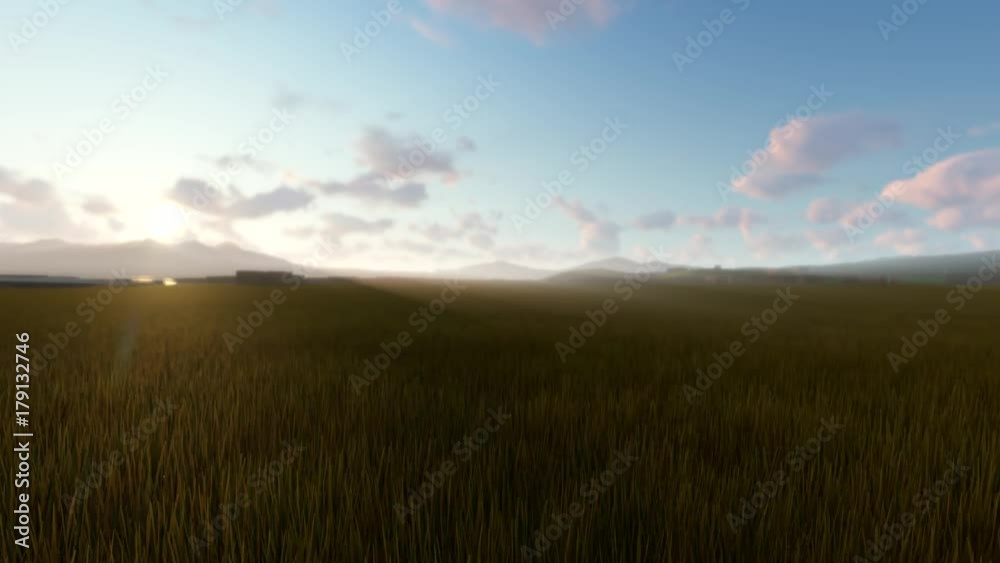 夕方の草原を走る