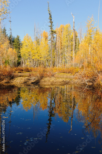 Fall colors around Moose Lake in Northern Idaho