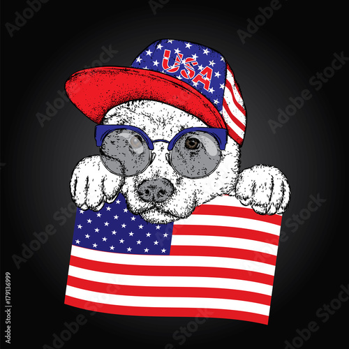 A beautiful dog in a cap, glasses and a tie. Vector illustration for a postcard or a poster, print for clothes. Purebred puppy. Alabai or the Shepherd.