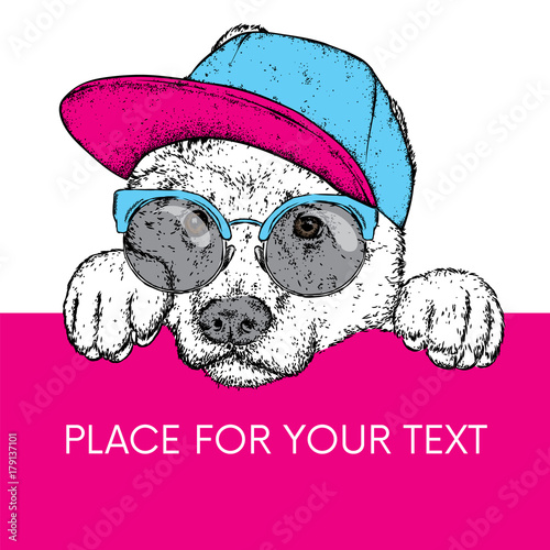 A beautiful dog in a cap, glasses and a tie. Vector illustration for a postcard or a poster, print for clothes. Purebred puppy. Alabai or the Shepherd.