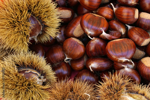 Castagne e ricci  photo