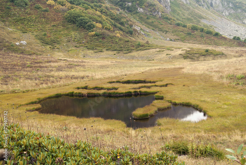 a view of the swampy, reed overgrown lake in a mountain valley with several open water areas
