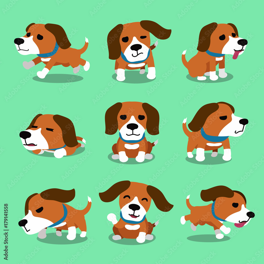 Vector cartoon character beagle dog poses