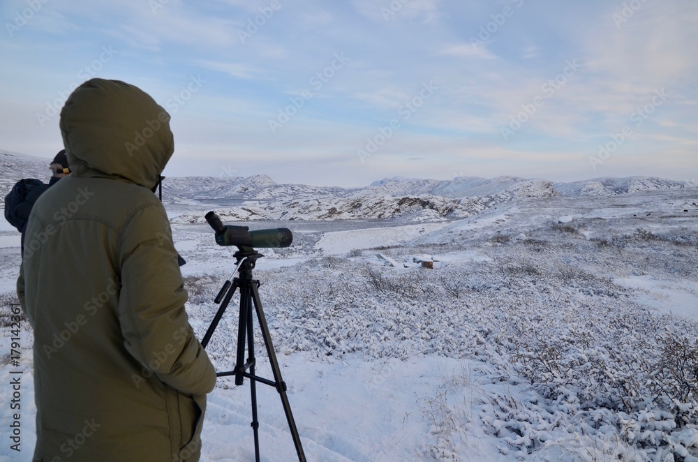 グリーンランド カンゲルスアーク カンガルッスァック ツンドラツアー ジャコウウシ Greenland Kangerlussuaq Tundra tour musk ox 