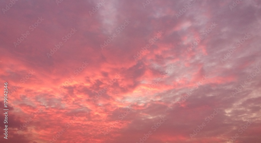 Sunset Sky and Clouds / Pink sky