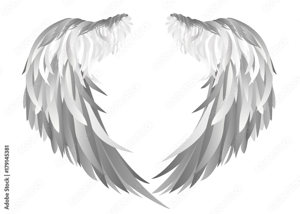 Fototapeta premium Wings. Vector illustration on white background. Black and white