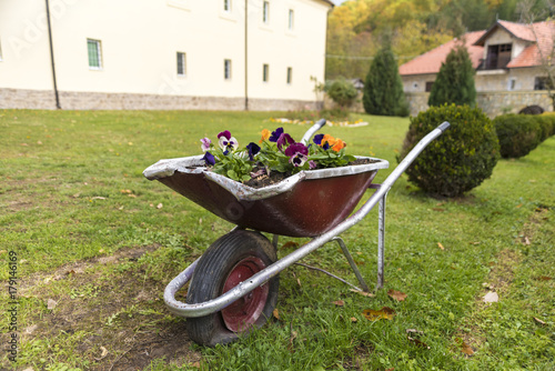Fototapeta Naklejka Na Ścianę i Meble -  flowers in metal trolleys