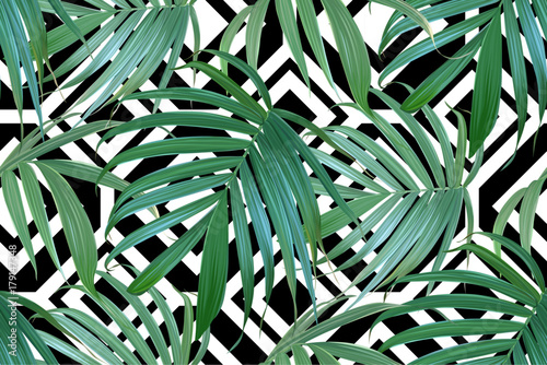  Vector palm frond. Tropical leaves seamless pattern. Banana leaf background. Exotic design isolated. Hawaiian print. Jungle plants. Summer illustration.