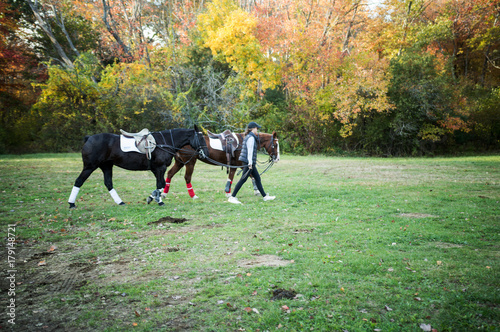 Woman Walks with Two Horses in Fall Foliage
