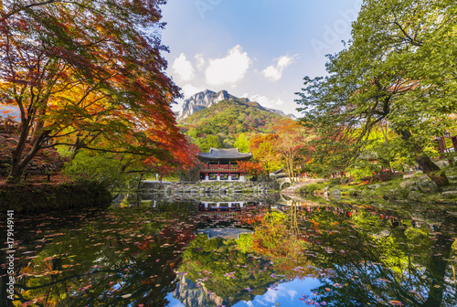 Fototapeta Naklejka Na Ścianę i Meble -  Autumn at Baekyangsa temple,South Korea.