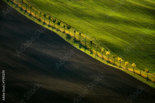 Fotografi Moravian fields, Moravia, Czech Republic, around the village Kyjov