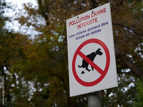 pollution canine photo