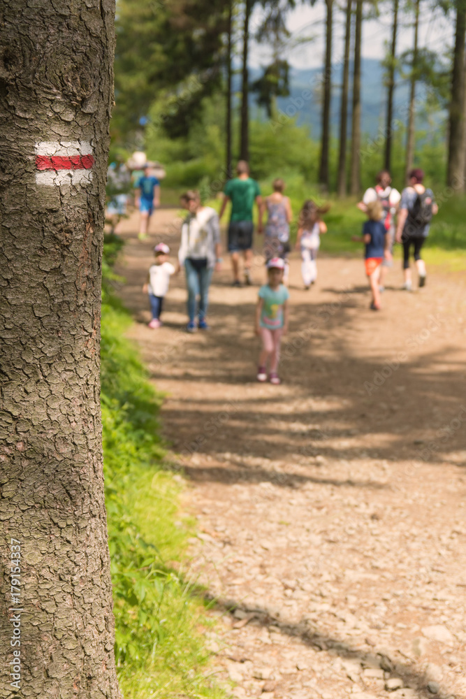 Fototapeta premium Red touristic mark on the tree with blurry figures on the background