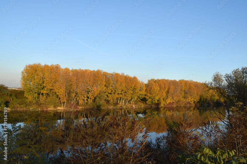 Autumn Reflections on the River Po