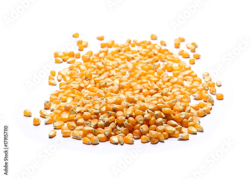 Yellow grain corn isolated on white background, for popcorn
