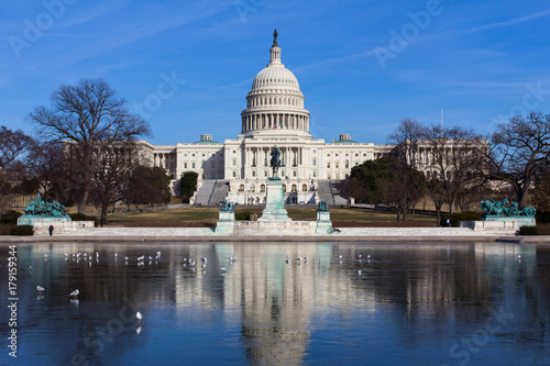 U.S.Capitol in winter, Washington, DC. Seagulls on the ice