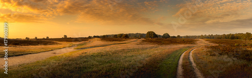 Panorama of heathland landscape