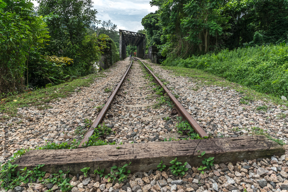 Fototapeta premium View along the railway. Old railroad across the bridge. The road for the train on the sides of the green vegetation and forest