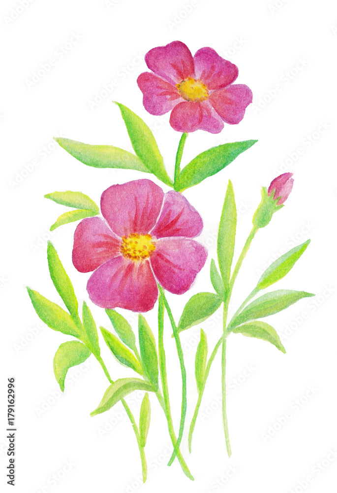 Obraz premium Bouquet of pink flowers abstract watercolor hand painted