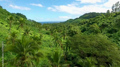 Aerial - Fiji Jungle Waterfall Hike photo