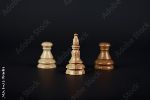 Elephant and two pawns on a black background