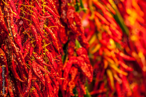 Colourful chillies 
