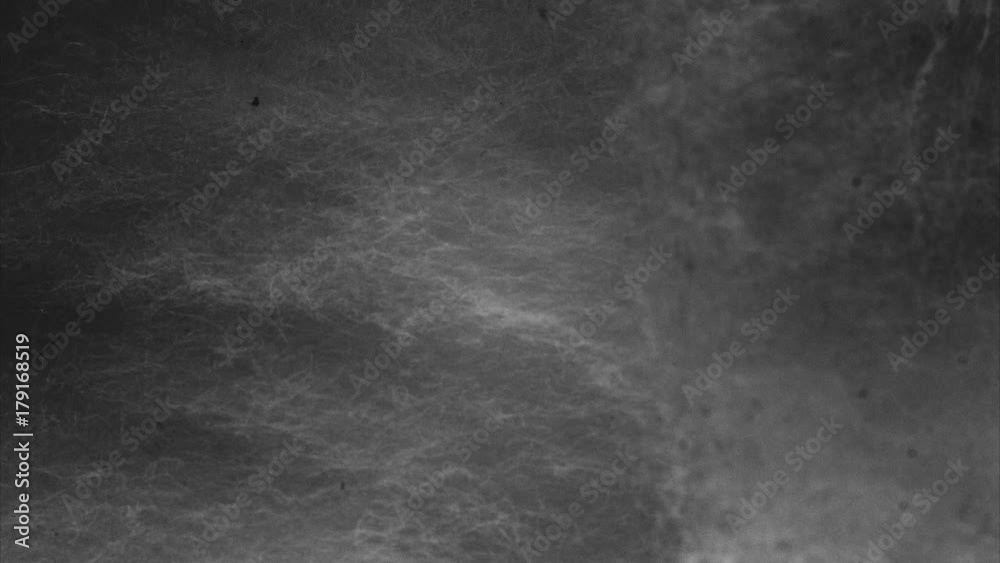 Microscopic fluff fast movement. Abstract background with room for text - short loopable clip.