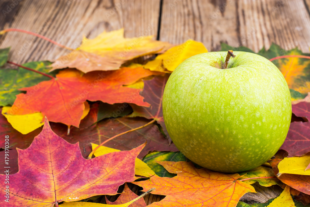 Green apple on background of autumn leaves Green apple on background of autumn leaves