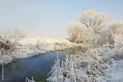 Frosty winter trees on river