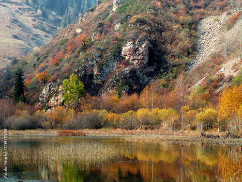 Fototapeta Naklejka Na Ścianę i Meble -  beautiful mountain lake with reflection of yellowed forest in the water