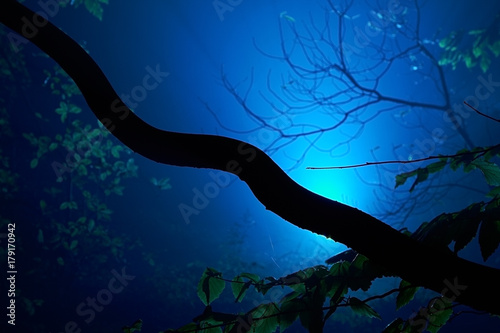 Wallpaper Mural Unheimlich Torontodigital.ca