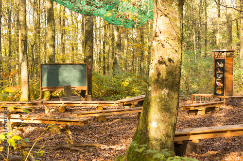 outdoor class room in forest with chalk board and wooden benches for students on tree logs and bookshelf with trees as backdrop