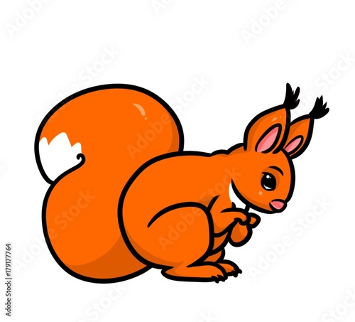 Squirrel orange animal cartoon illustration isolated image    © efengai