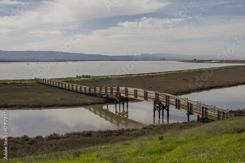 Wallpaper Mural Gnarled Tree In Red Sand Torontodigital.ca