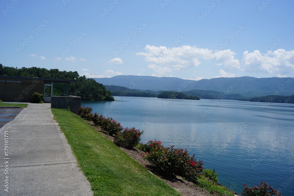 Obraz premium beauty with flowers