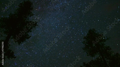Dark milky way behind pair of pine tree silhouettes in the Wallowa Mountains stars at night Andromeda photo