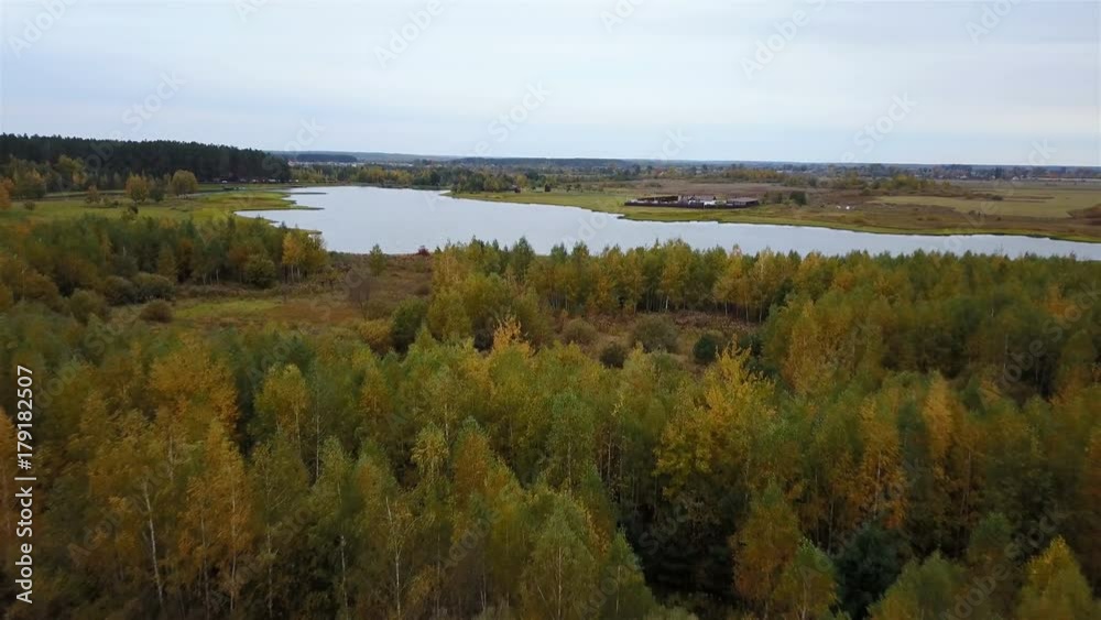 Aerial view of the field with trees covered with yellow foliage and lake on background