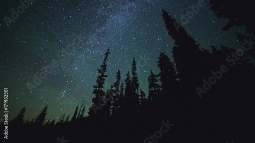 Dark silhouette of fir and pine tree forest against milky way starry night sky from Elk Meadow Mt. Hood