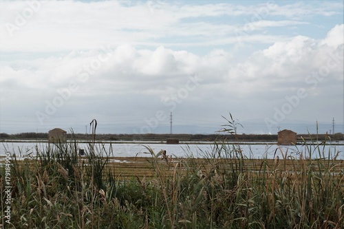 Albufera de Valencia vista desde un campo de arroz