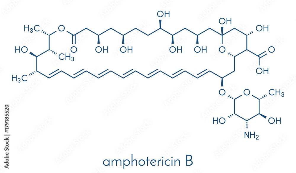 Amphotericin B antifungal drug molecule. Skeletal formula.