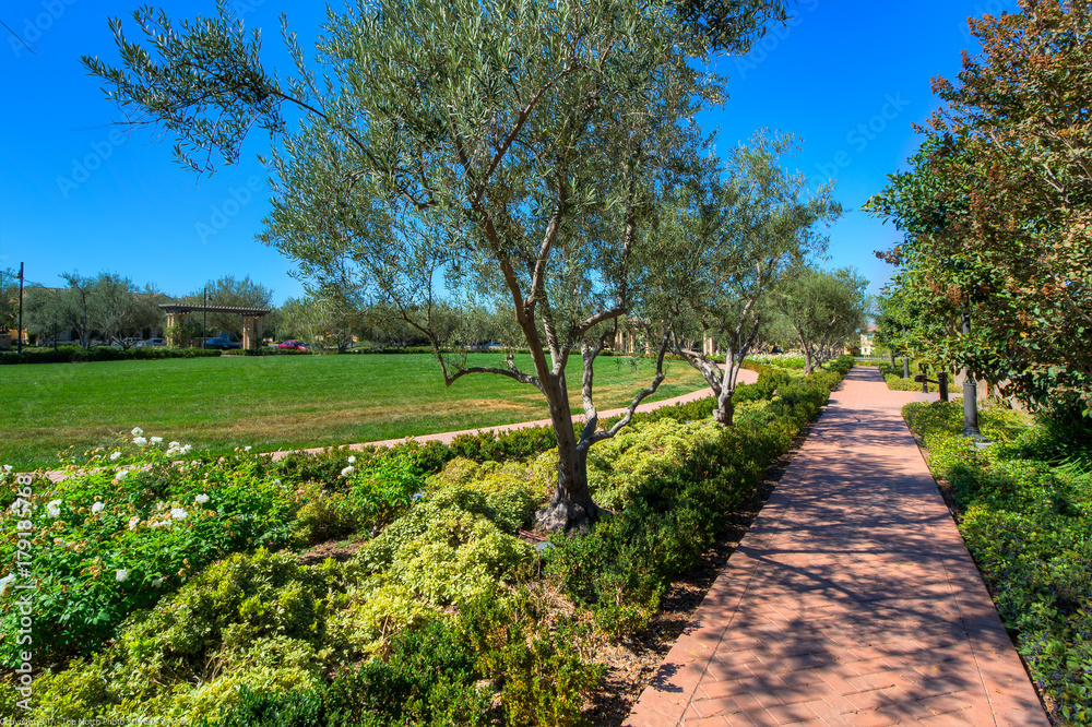 Obraz premium Cypress Village 14