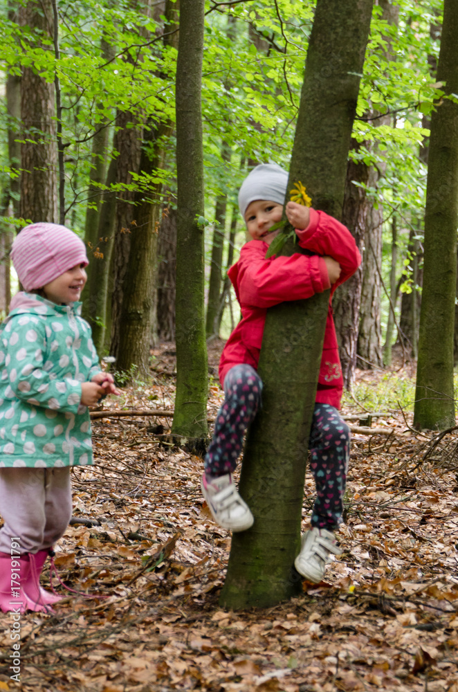 Obraz na płótnie Dwie małe dziewczynki wskakują na drzewo w lesie. w salonie