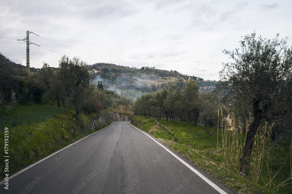 Beautiful Road in Tuscany