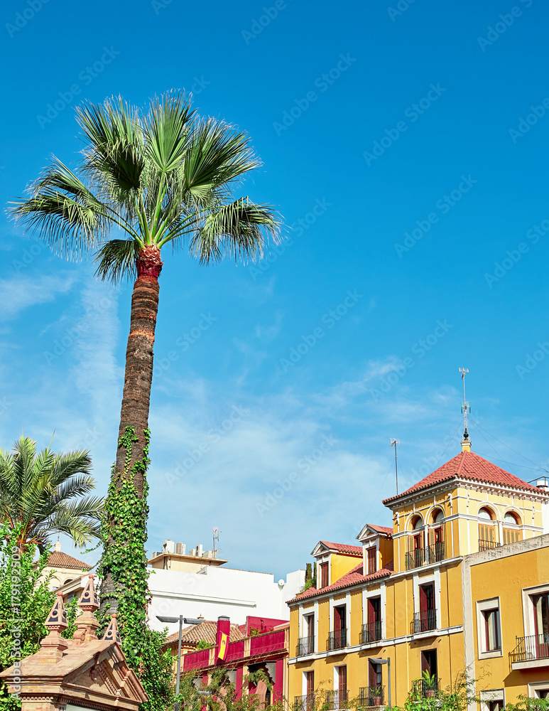 Fototapeta premium Street view of Sevilla