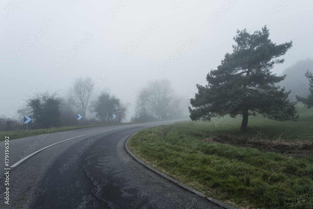 Foggy asphalt curved road passing through the forest. Weather with low visibility in the region of Normandy, France. Country landscape on misty day. Toned