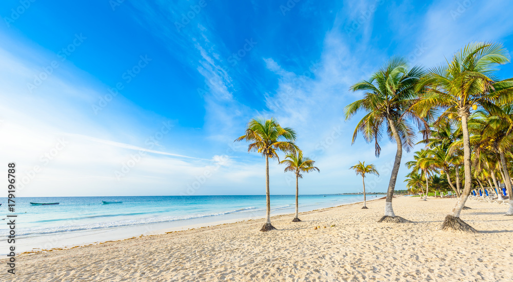 Obraz premium Paradise Beach also called Playa Paraiso at Tulum - sunrise at beautiful and tropical caribbean coast of Tulum in Quintana Roo, Riviera Maya, Mexico